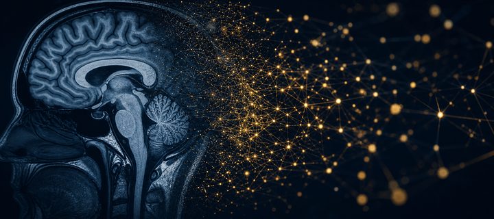 AI and neuroscience